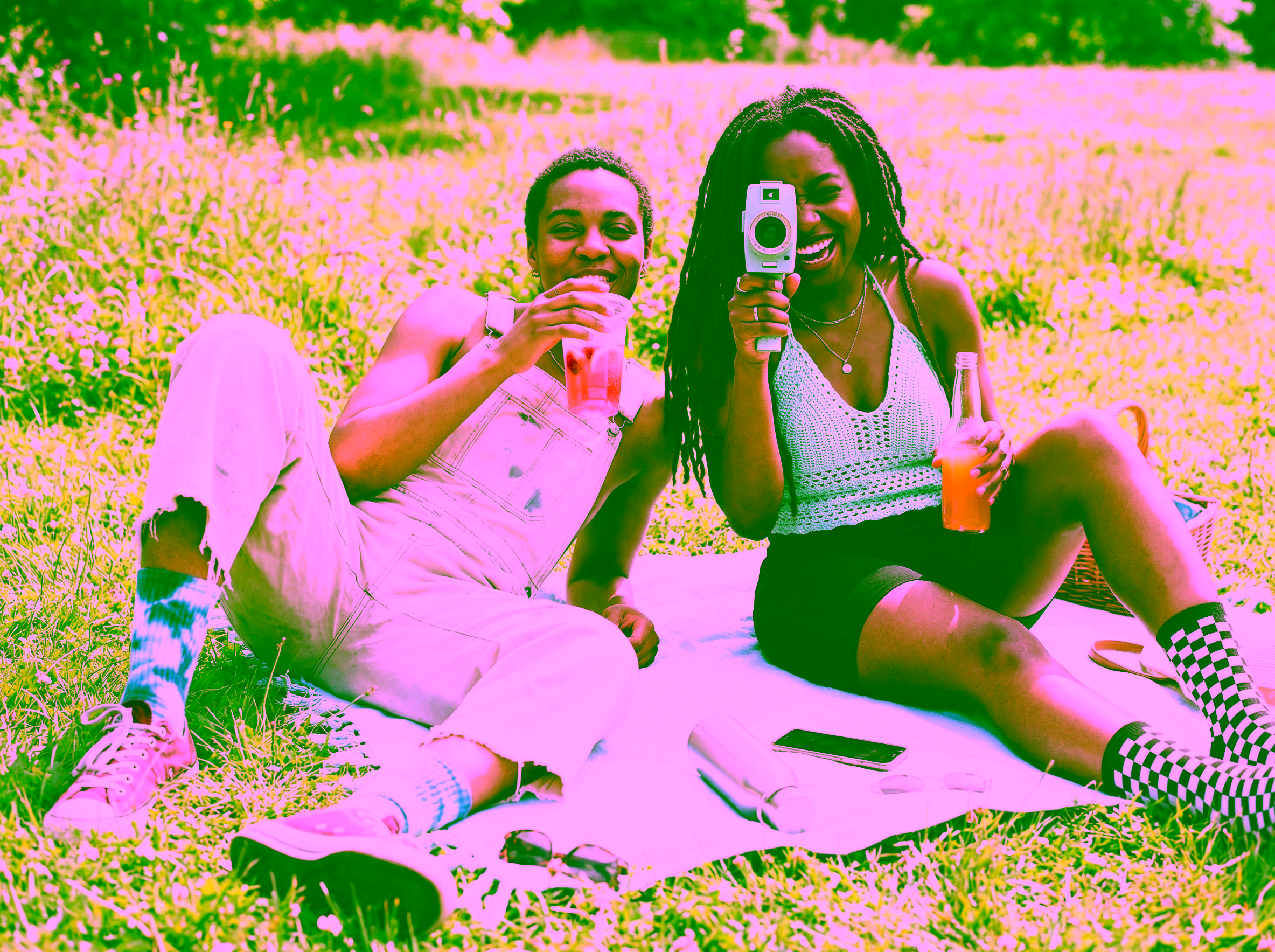 Sunny Picnic Scene - Input 1